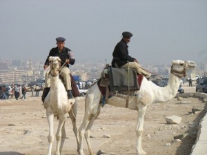 Egipat - policajac na kamili