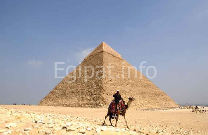 Kefrenova piramida i kamila
