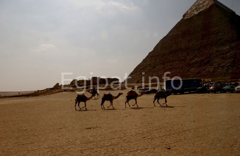 Egipat - Piramide - slike Egipta Kairo Hurgada Sarm el Seik Asuan Aleksandrija piramide sfinga Keops Kefren Kleopatra Crveno more leto letevanje 2014 Egipat letovanje